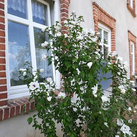 Gutshaus Alt Krassow